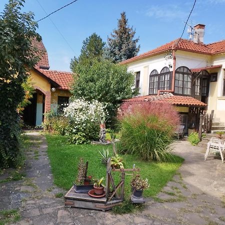 Garickina Kuca Apartamento Pirot Exterior foto