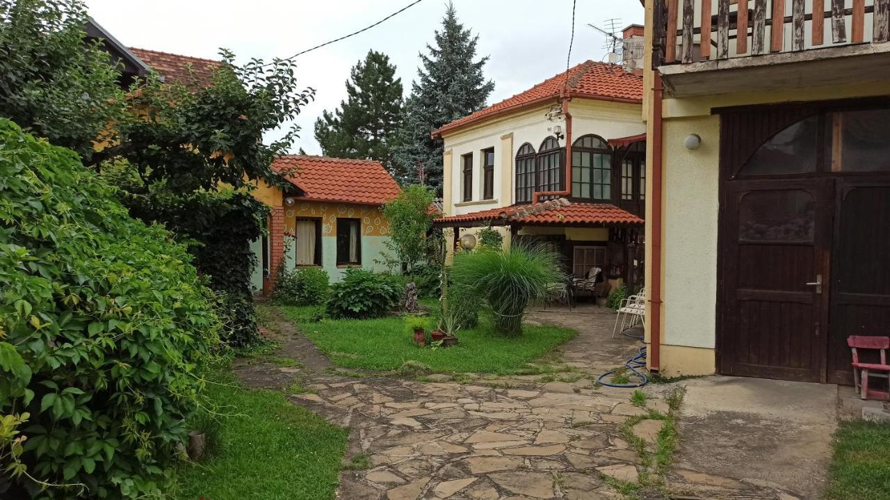 Garickina Kuca Apartamento Pirot Exterior foto