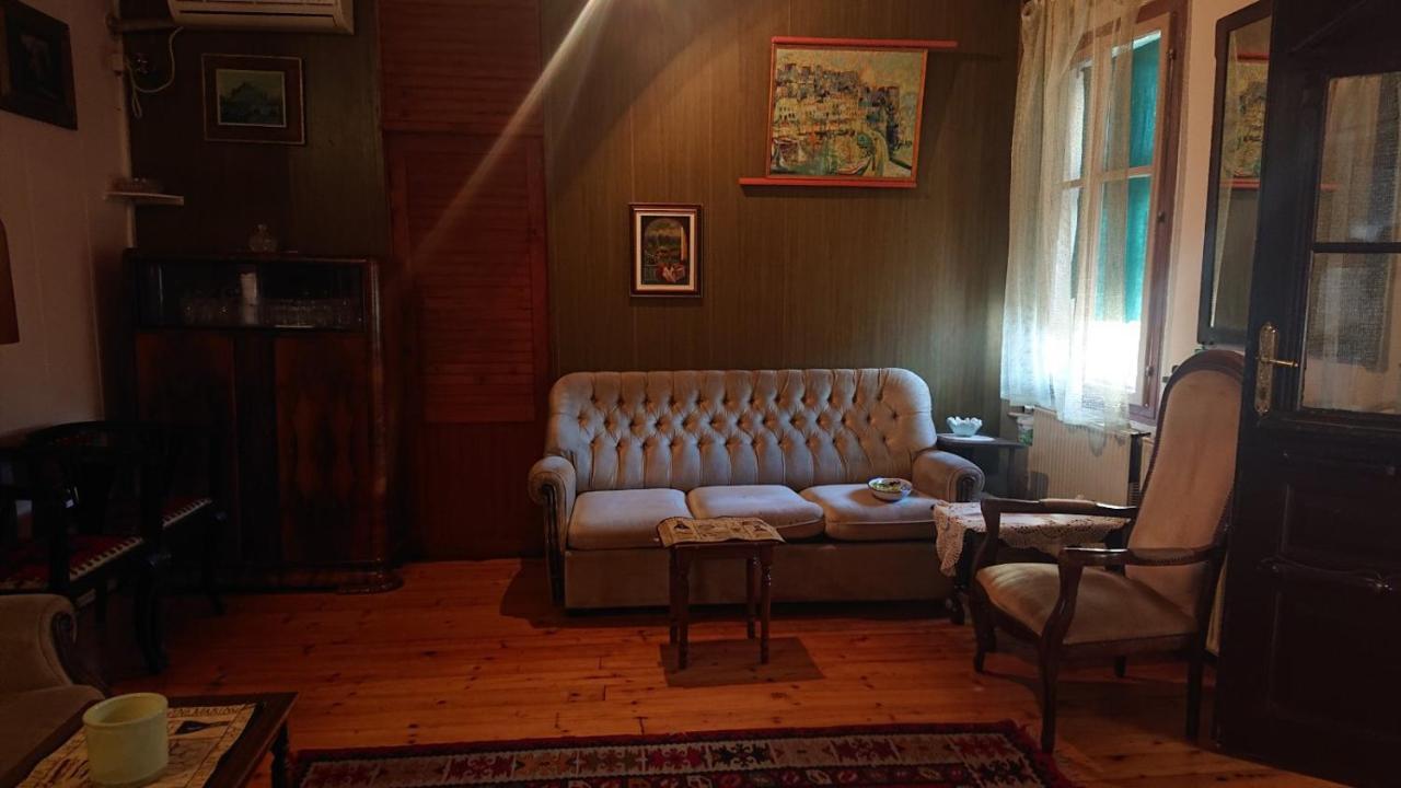 Garickina Kuca Apartamento Pirot Exterior foto