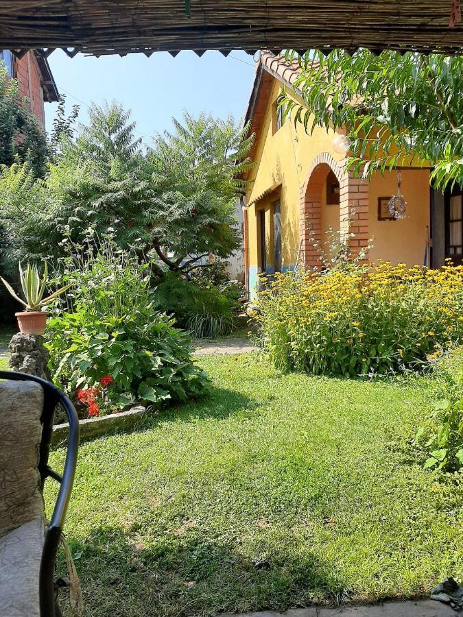Garickina Kuca Apartamento Pirot Exterior foto