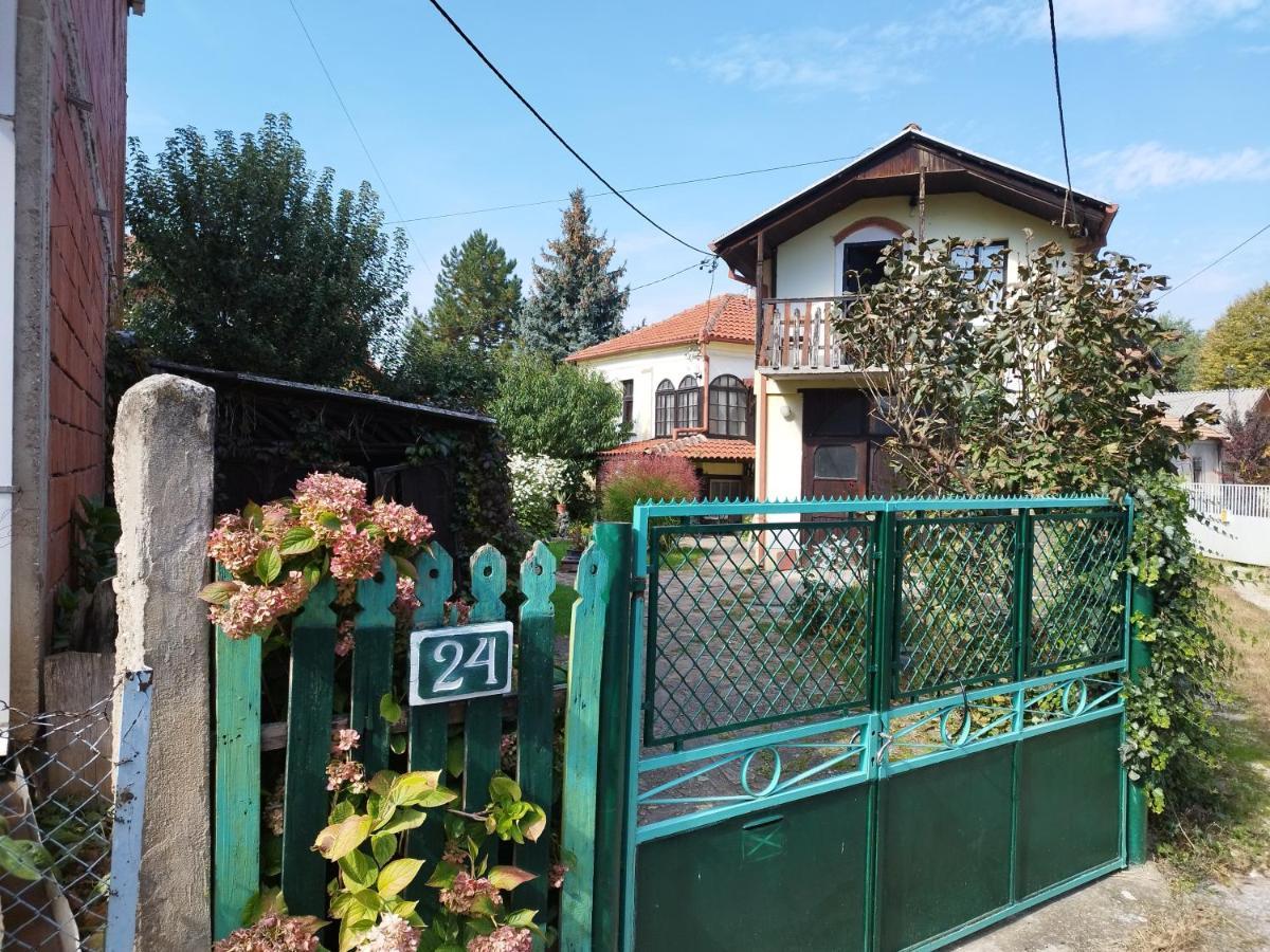 Garickina Kuca Apartamento Pirot Exterior foto