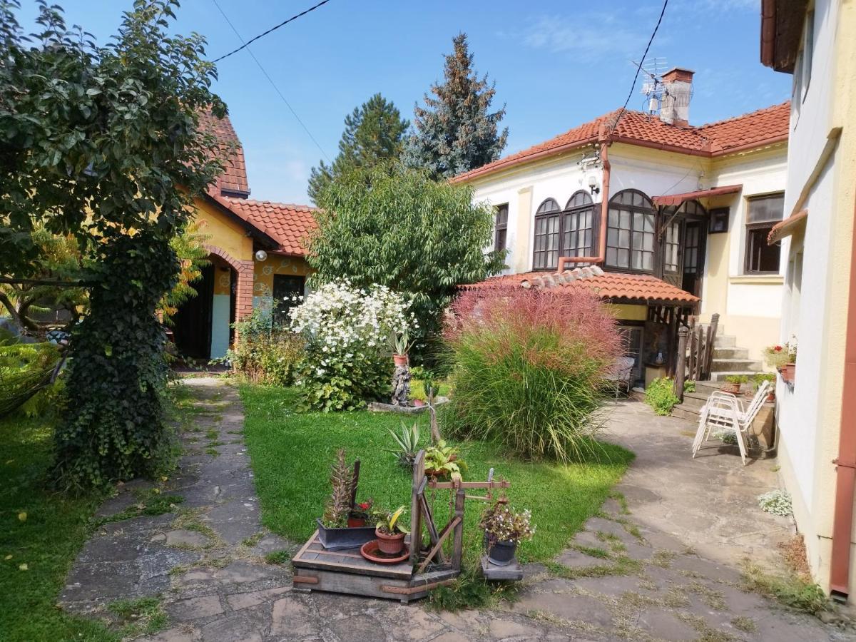 Garickina Kuca Apartamento Pirot Exterior foto