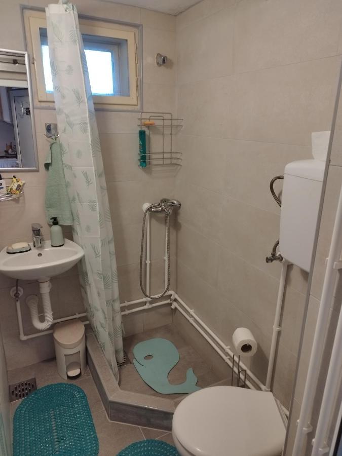 Garickina Kuca Apartamento Pirot Exterior foto