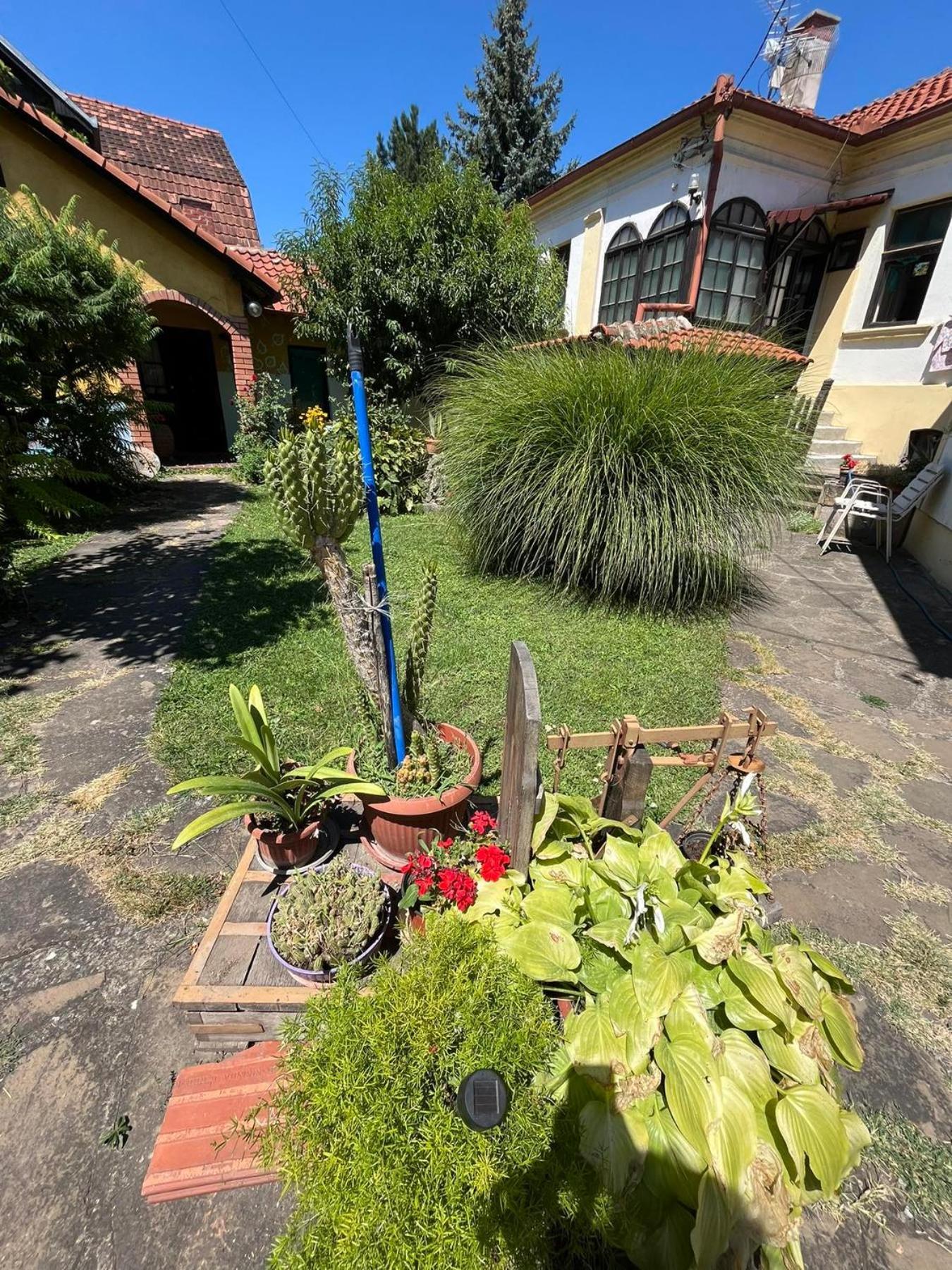 Garickina Kuca Apartamento Pirot Exterior foto